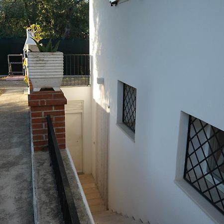 Olive&Sea Villa-Sea Mattinata Εξωτερικό φωτογραφία