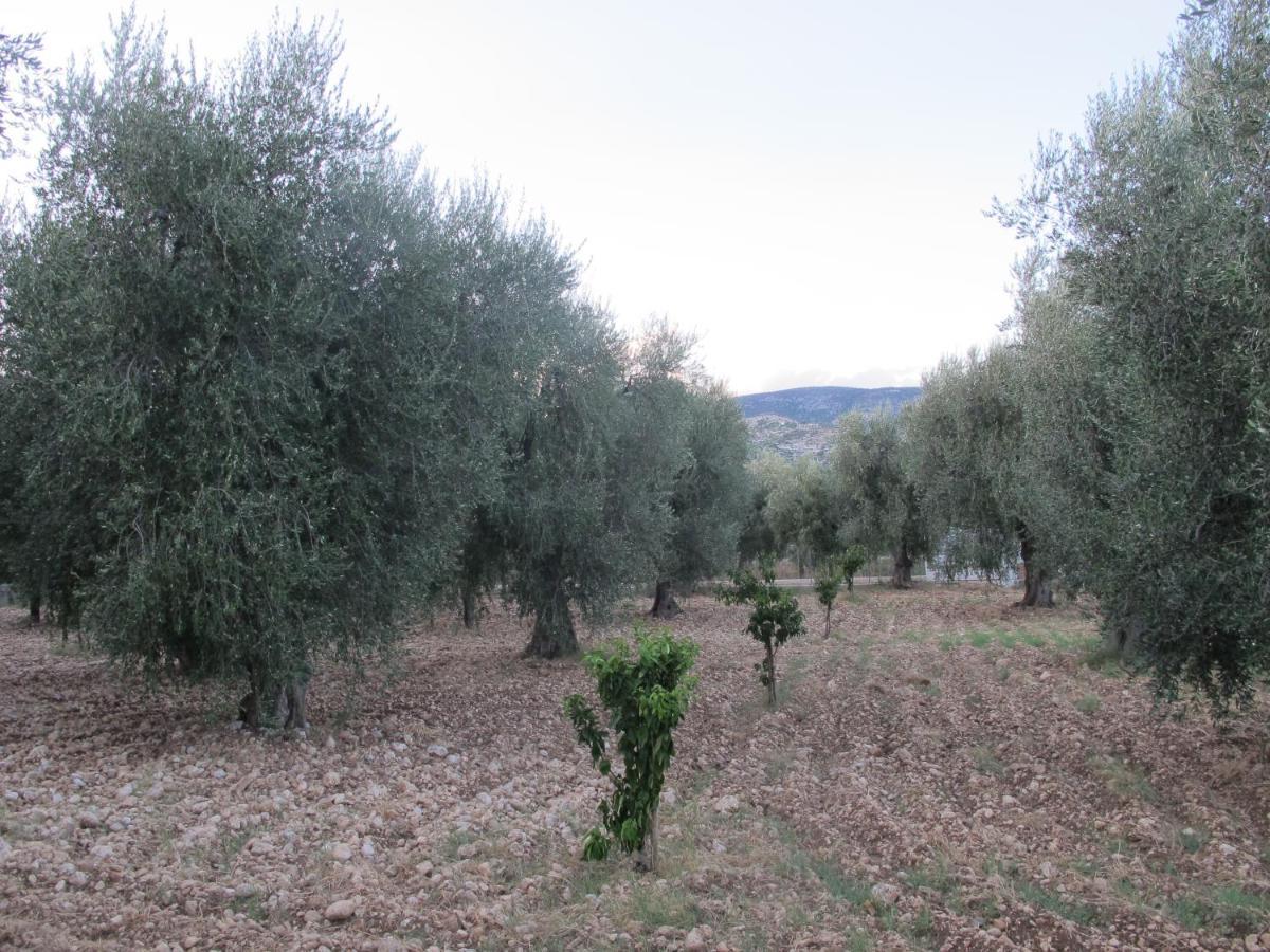 Olive&Sea Villa-Sea Mattinata Εξωτερικό φωτογραφία