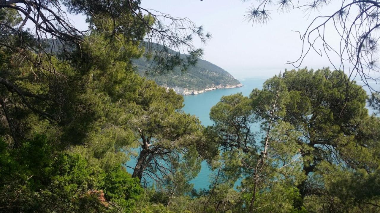 Olive&Sea Villa-Sea Mattinata Εξωτερικό φωτογραφία