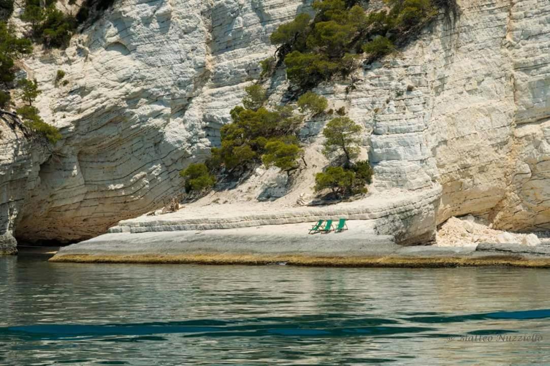 Olive&Sea Villa-Sea Mattinata Εξωτερικό φωτογραφία