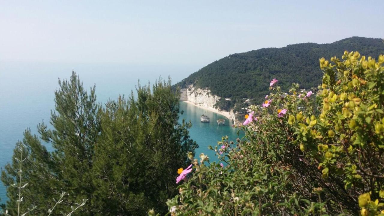 Olive&Sea Villa-Sea Mattinata Εξωτερικό φωτογραφία