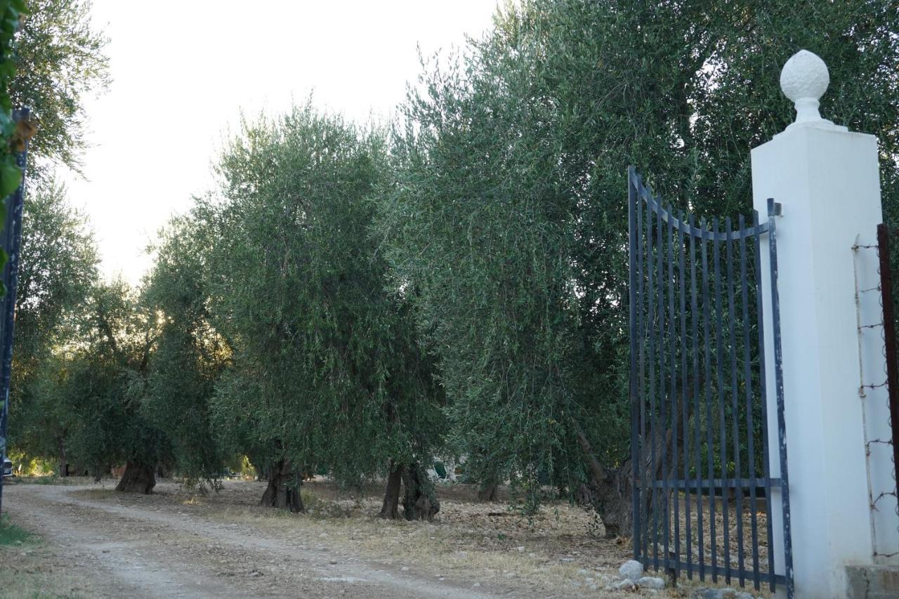 Olive&Sea Villa-Sea Mattinata Εξωτερικό φωτογραφία