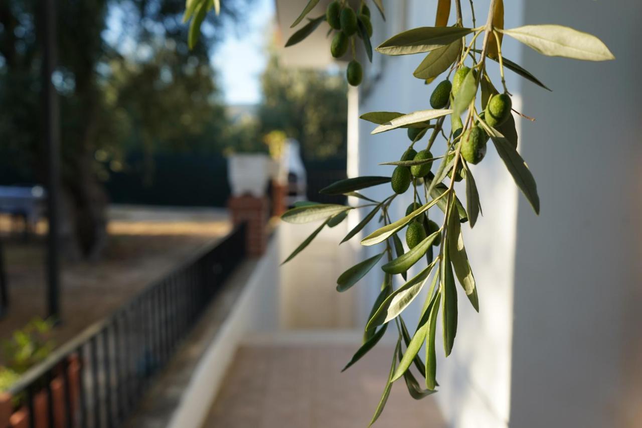 Olive&Sea Villa-Sea Mattinata Εξωτερικό φωτογραφία