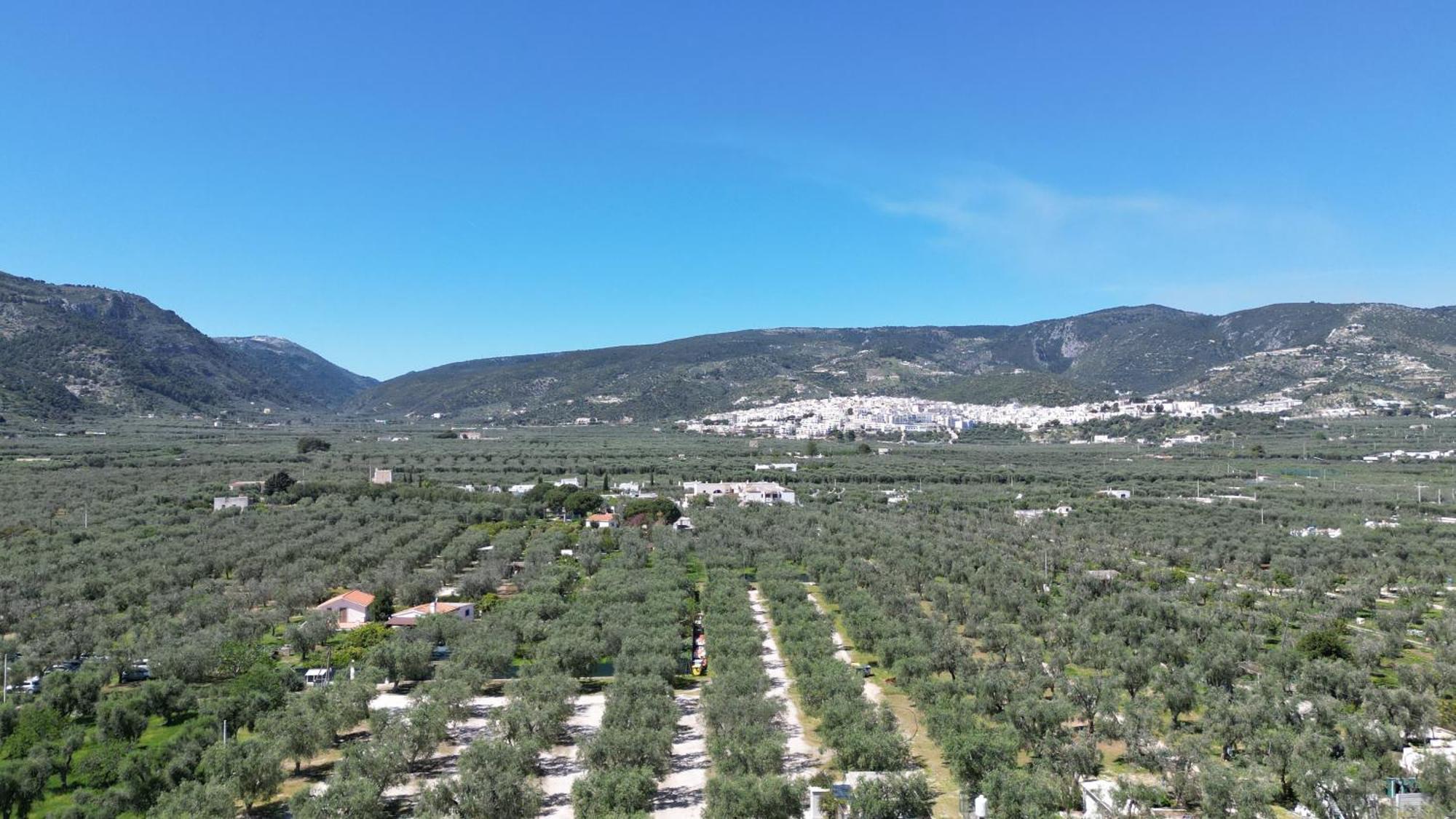 Olive&Sea Villa-Sea Mattinata Εξωτερικό φωτογραφία