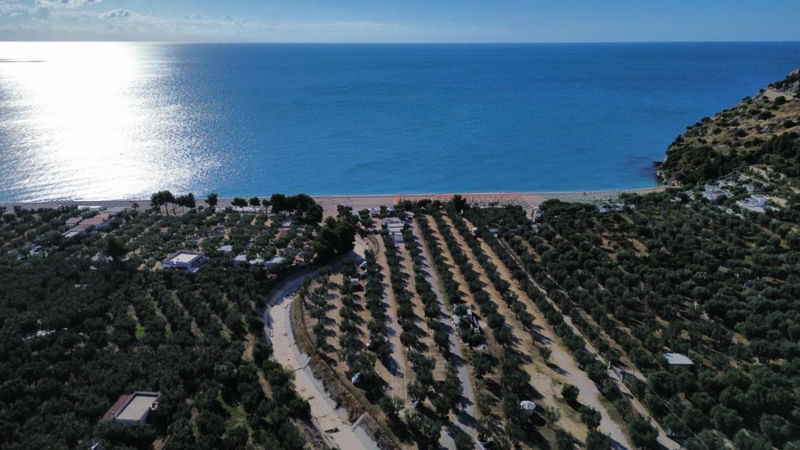 Olive&Sea Villa-Sea Mattinata Εξωτερικό φωτογραφία