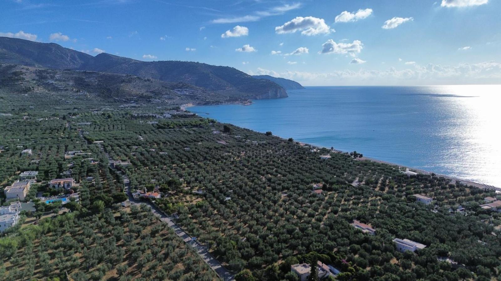 Olive&Sea Villa-Sea Mattinata Εξωτερικό φωτογραφία